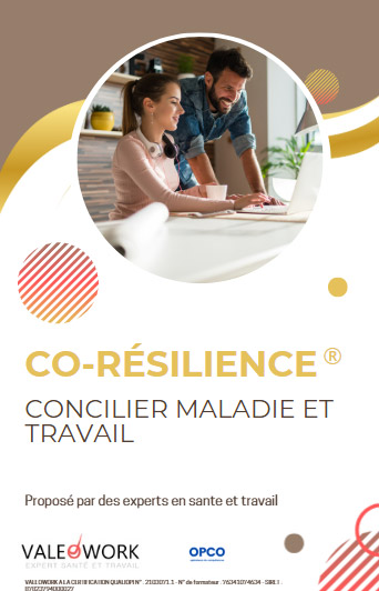 mini-plaquette-co-resilience